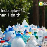 ill effects of plastic on human health