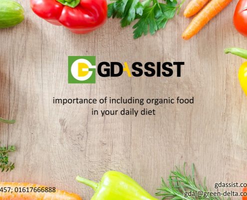 The importance of including organic food in your daily diet